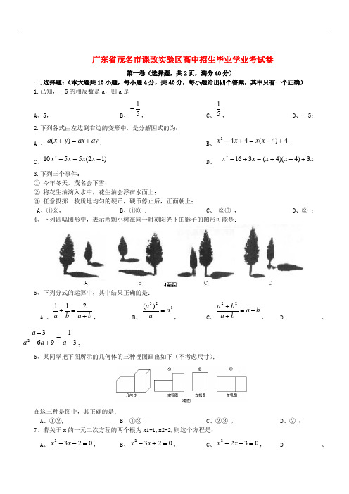 广东茂名实验区中考数学与答案