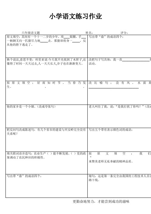 小学六年级语文提高训练V (75)