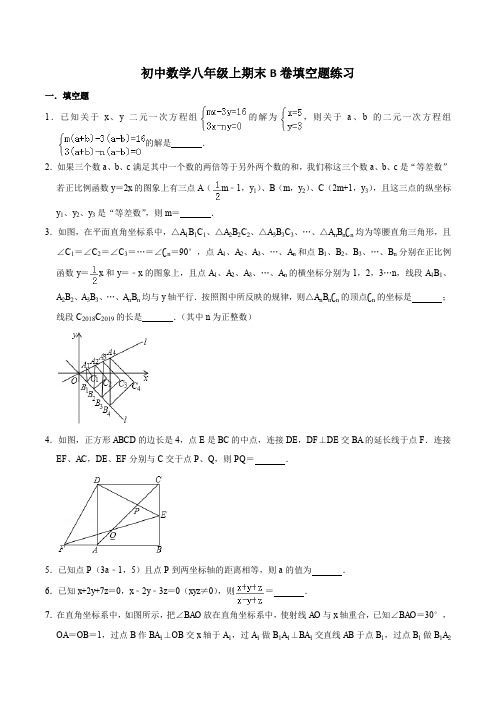 最新四川省成都市成都初中数学八年级上期末B卷填空题练习