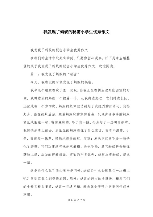 我发现了蚂蚁的秘密小学生优秀作文