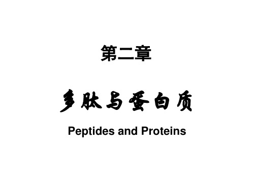 生物化学02第二章 多肽与蛋白质