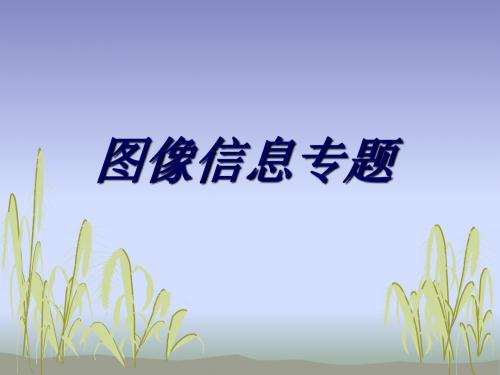 初中物理图像信息题解读(成品)