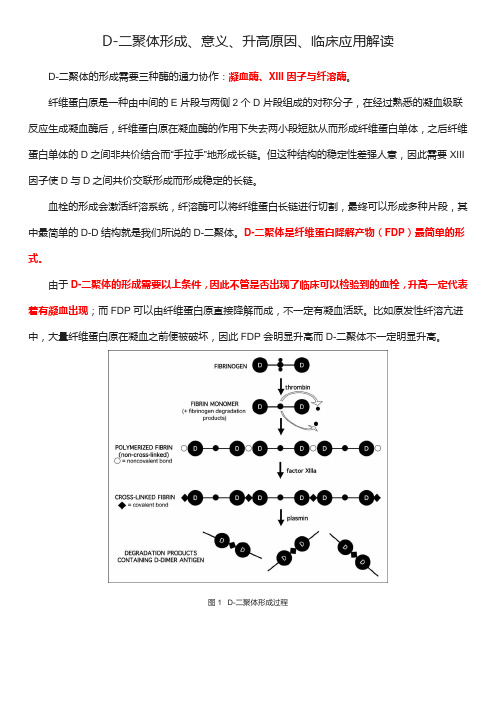 D-二聚体形成、意义、升高原因、临床应用解读