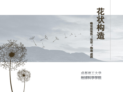 现代构造地质学—花状构造