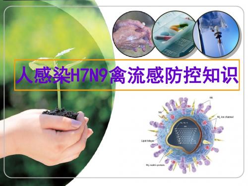 H7N9禽流感防控知识(学校)