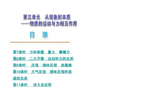 2014中考物理总复习全套PPT课件(北师大版共34课时)之第3单元 运动和力7-11课时