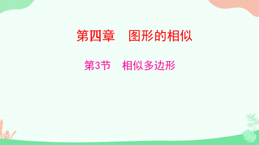 4.3 相似多边形课件(24张PPT)北师大版数学九年级上册