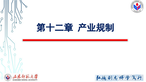 十二 规制