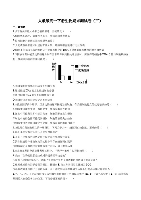 人教版高一下册生物期末测试卷(三)附答案