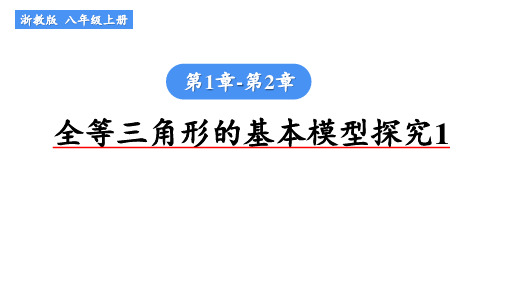 全等三角形的基本模型探究1+专题复习课件+2023-2024学年浙教版数学八年级上册