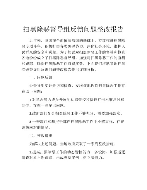 扫黑除恶督导组反馈问题整改报告