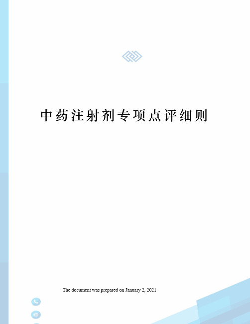 中药注射剂专项点评细则