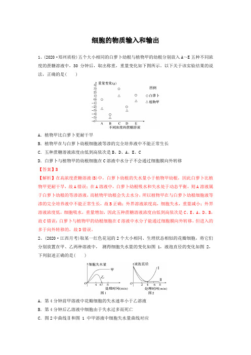 专题06细胞的物质输入和输出(精练)-备战2025年高考生物一轮复习串讲精练(新高考专用)