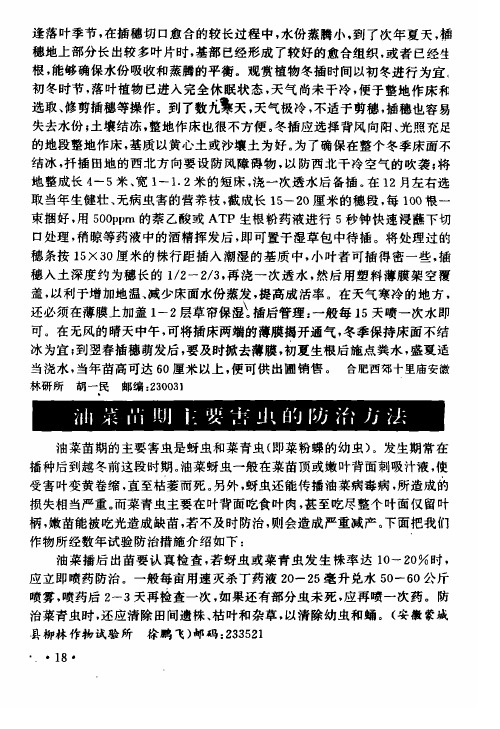 油菜苗期主要害虫的防治方法