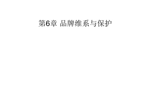 第6章 品牌维系与保护