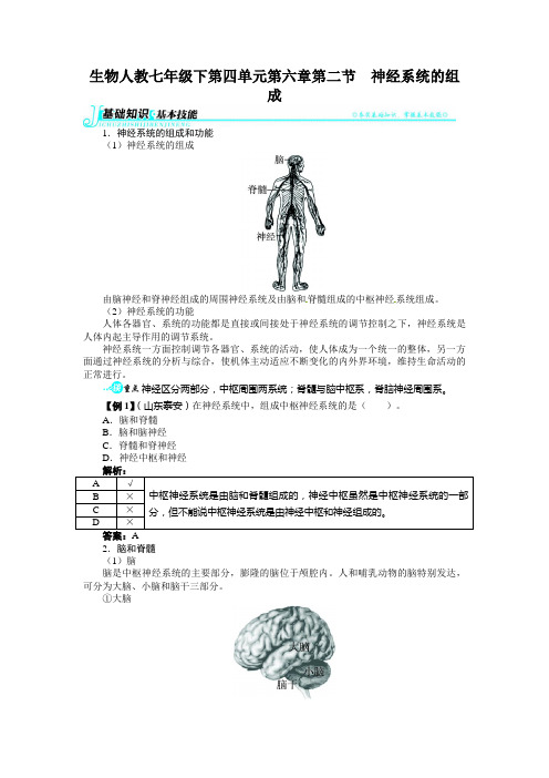 初中七年级生物练习题下-神经系统的组成