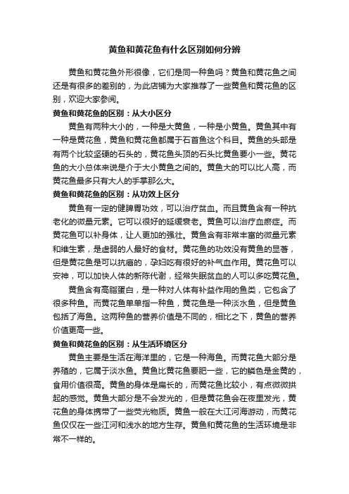 黄鱼和黄花鱼有什么区别如何分辨