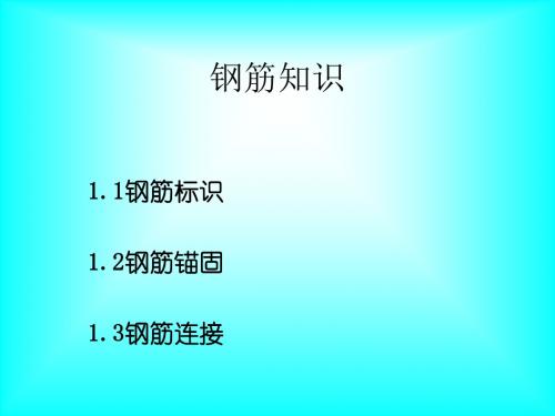 钢筋知识专项培训(ppt 17页)