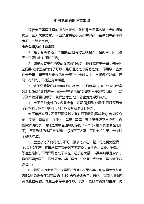 小白兔饲养的注意事项