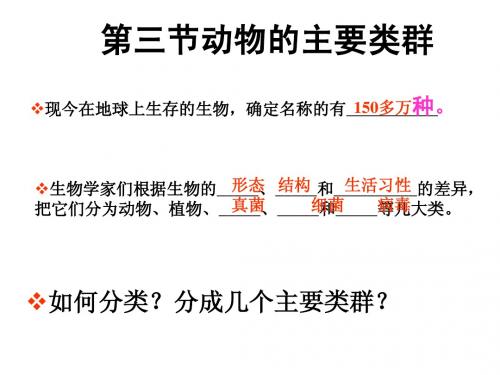 22.3动物的主要类群01