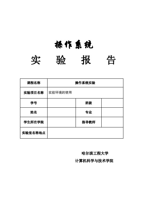 操作系统实验报告 实验环境的使用heu