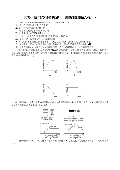 高考生物二轮冲刺训练(四) 细胞呼吸和光合作用2