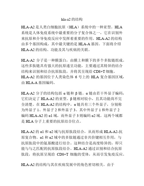 hla-a2的结构