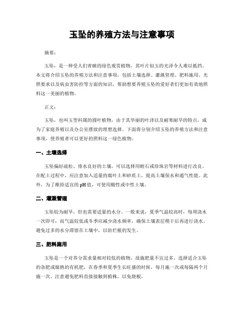 玉坠的养殖方法与注意事项