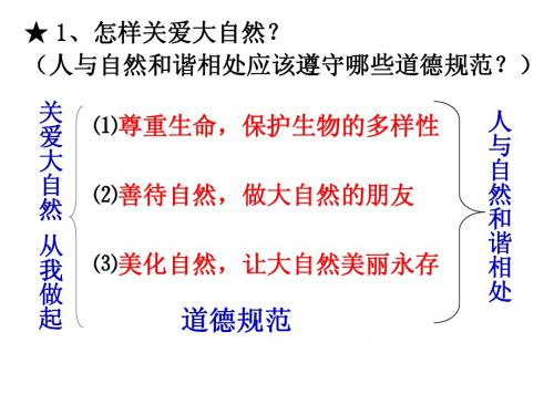 13课 依法保护人类共有的家园