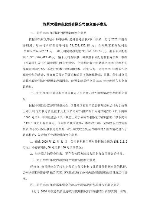 000038深大通：独立董事对担保等事项的独立意见