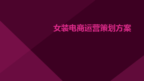 女装电商运营策划方案女装网店运营方案女装运营策划方案ppt