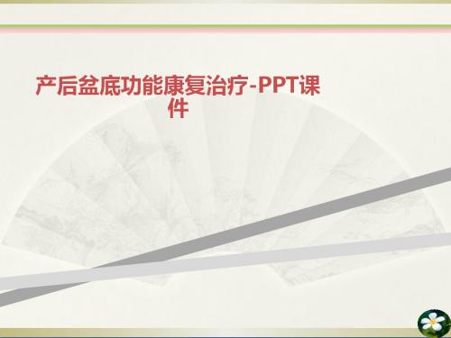 产后盆底功能康复治疗PPT课件