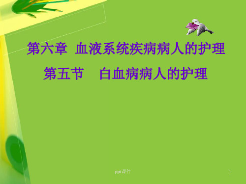 白血病病人的护理 (4)  ppt课件