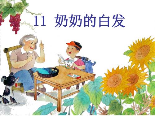 11奶奶的白发