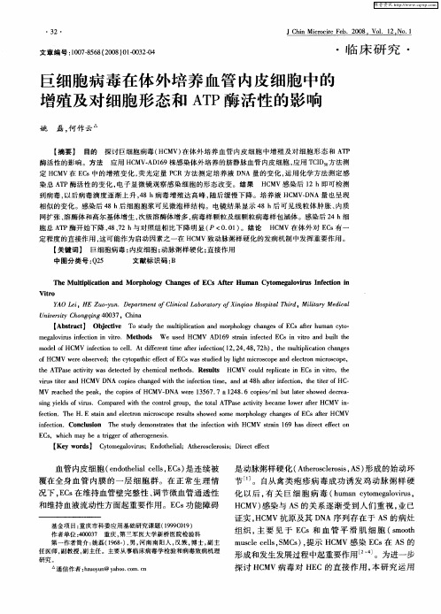 巨细胞病毒在体外培养血管内皮细胞中的增殖及对细胞形态和ATP酶活性的影响