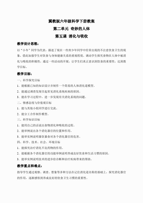 冀教小学科学六下册《5消化与吸收》word教案 (1)