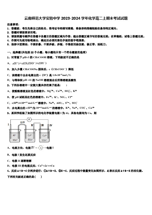 云南师范大学实验中学2023-2024学年化学高二上期末考试试题含解析