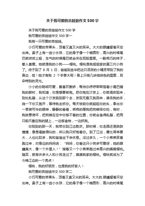 关于我可爱的吉娃娃作文500字