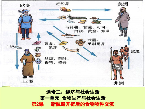 高中历史人教统编版选择性必修2 新航路开辟后的食物物种交流ppt