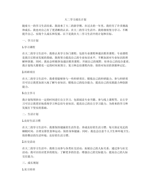 大二学习成长计划