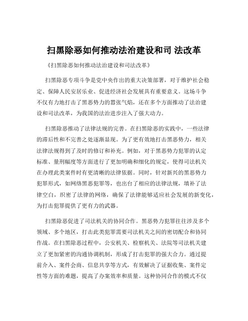 扫黑除恶如何推动法治建设和司 法改革