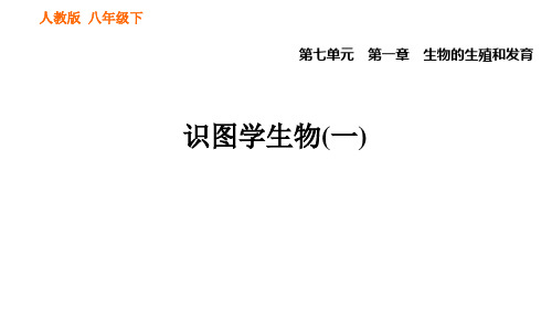 人教版生物八年级下册识图学生物(一)试题