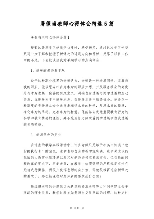 暑假当教师心得体会精选5篇