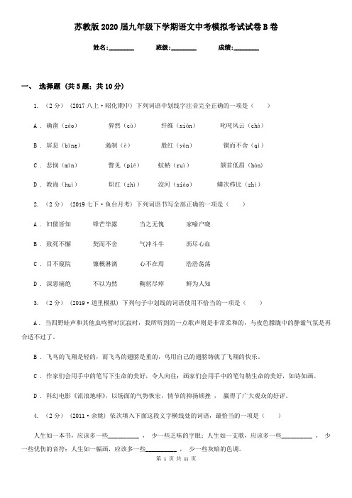 苏教版2020届九年级下学期语文中考模拟考试试卷B卷