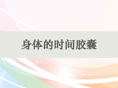 二年级下册科学课件-2.6、身体的时间胶囊 教科版PPT课件9