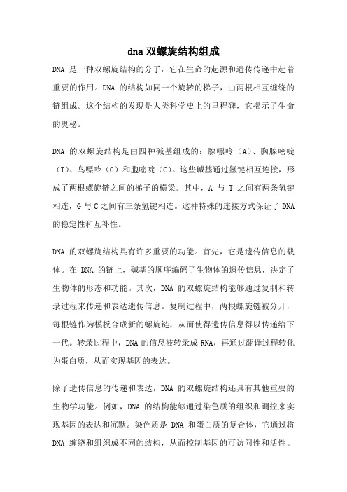 dna双螺旋结构组成