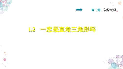 北师大版数学八年级上册 第1章 勾股定理 一定是直角三角形吗 习题课件