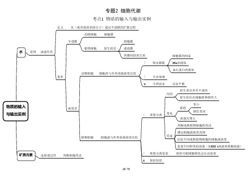 专题2 细胞的代谢-【学霸脑图】2021年高考生物知识框架