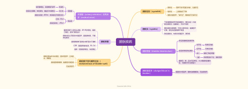 膀胱疾病超声思维导图