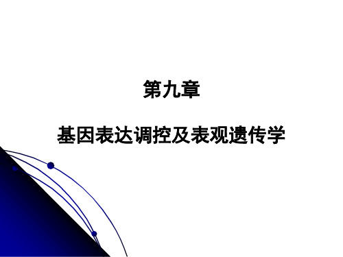 遗传学课件第9章+基因表达调控及表观遗传学